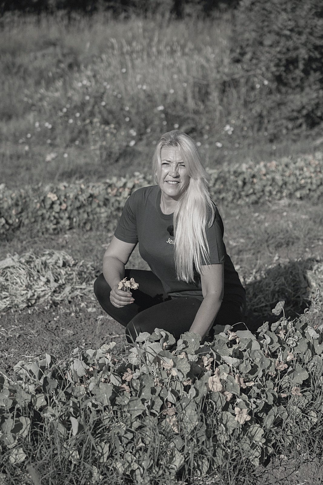 Žena čuči u gredici s cvijećem i bere žuto jestivo cvijeće.